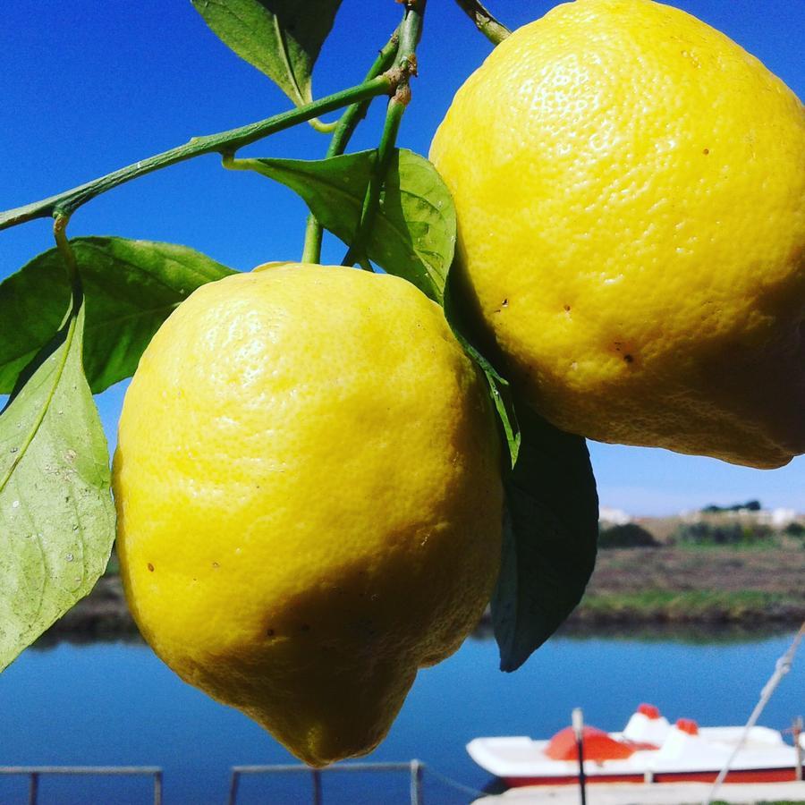 Torre Del Lago Foce Varano Eksteriør bilde